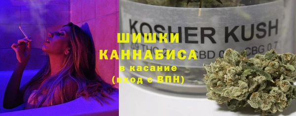 МДПВ Заводоуковск
