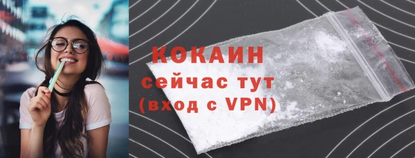 МДПВ Заводоуковск