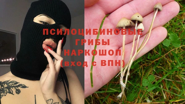 марихуана Ельня