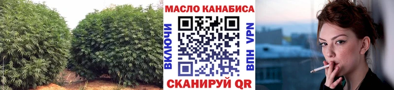 Купить закладки  Тында  ТГК жижа 
