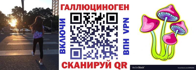 Галлюциногенные грибы Psilocybe  Купить  Тында 